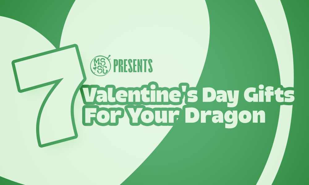 7 Fiery Gift Ideas for Your Dragon Companion